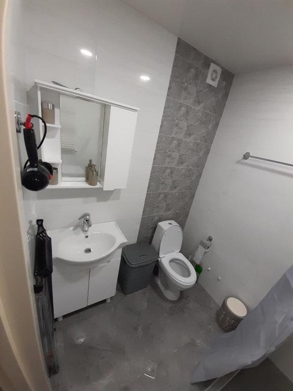 Бакуриани: didveli residence, apartment 21, D block, bakuriani