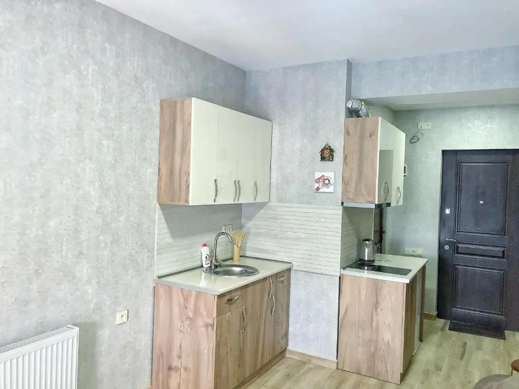 Бакуриани: Villa Hillton Bakuriani 401