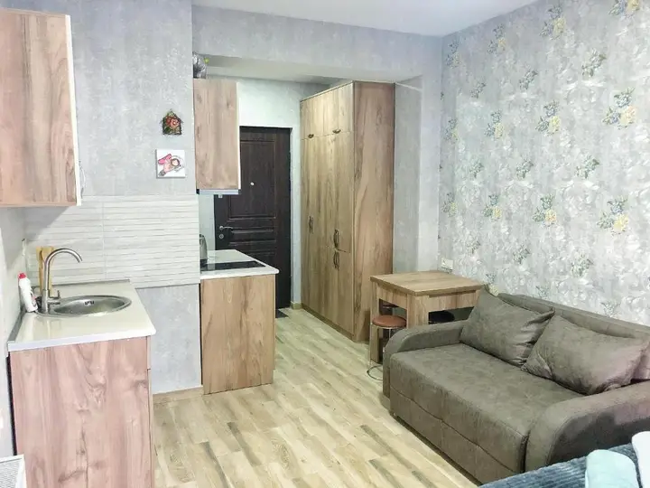 Бакуриани: Villa Hillton Bakuriani 401