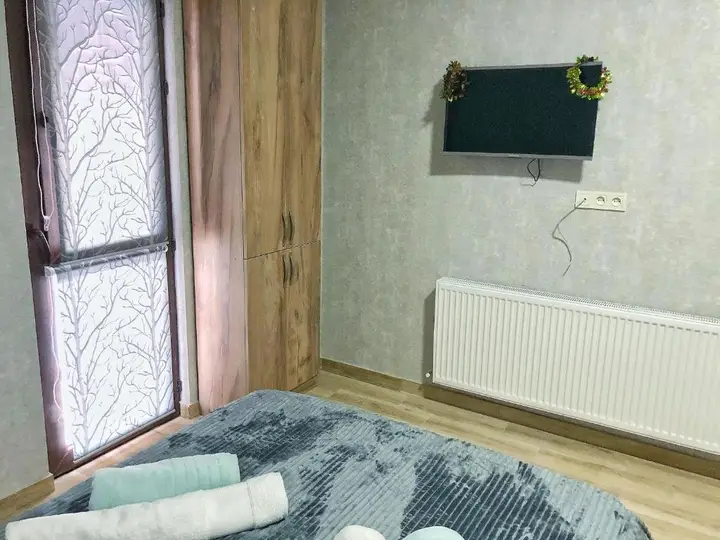 Бакуриани: Villa Hillton Bakuriani 401