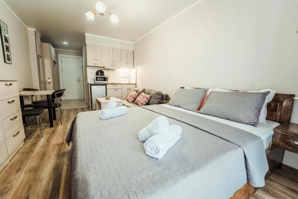 Гудаури: New Gudauri Ski Loft 511