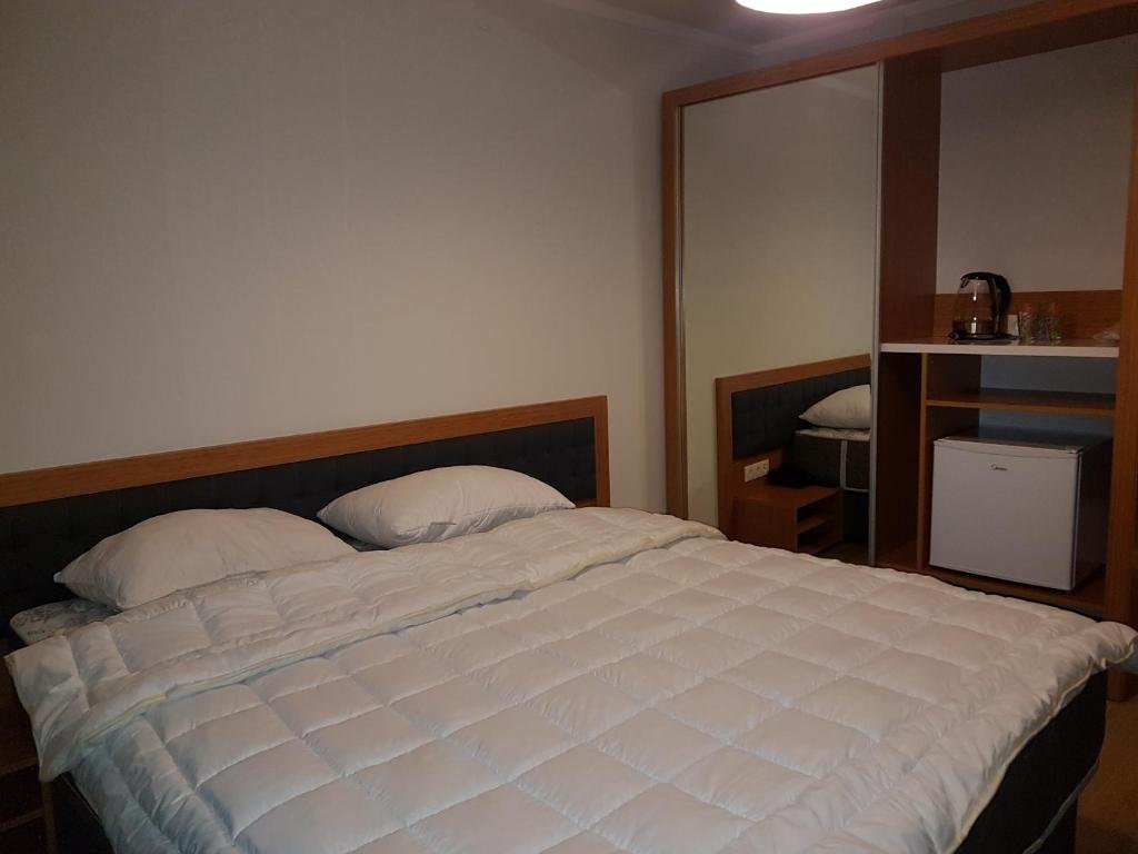 Бакуриани: Bakuriani Orbi Palace Room 521
