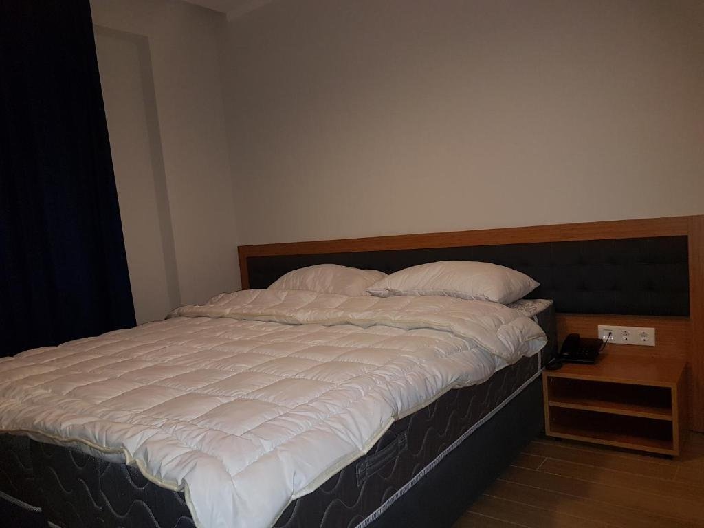 Бакуриани: Bakuriani Orbi Palace Room 521