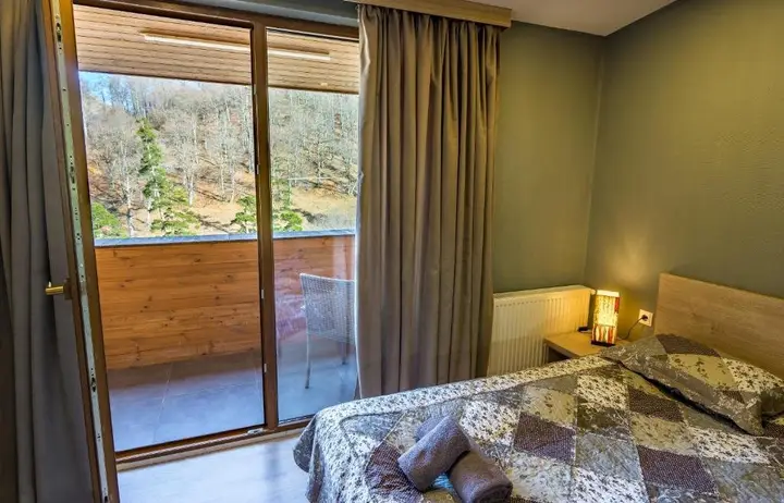 Бакуриани: The Valley Resort 505