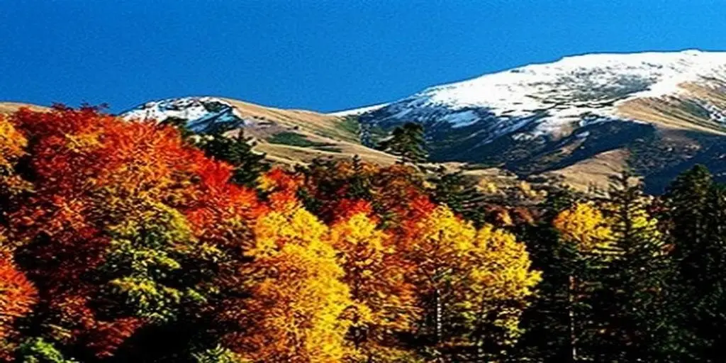 Бакуриани: Bakuriani 4 Season Suite B206