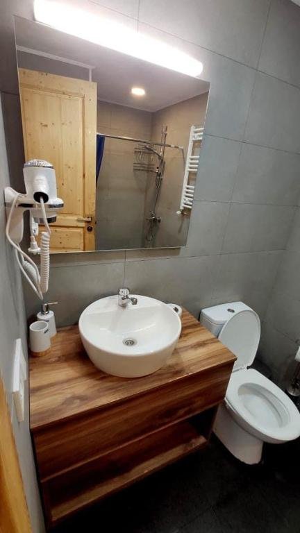 Бакуриани: Bakuriani - Didveli 4 Season Apartment