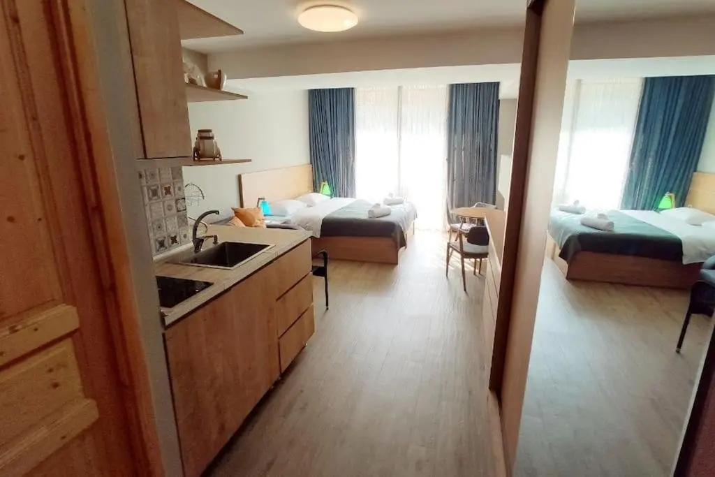 Бакуриани: Bakuriani - Didveli 4 Season Apartment