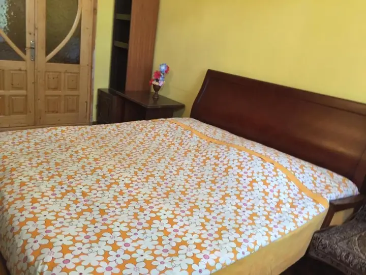 Боржоми: Guest House On Tabidze 2
