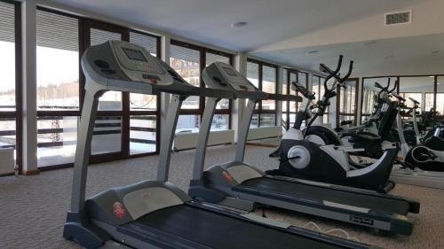 Бакуриани: Villa Detached House 2 Bedrooms 3 Bathrooms Bakuriani