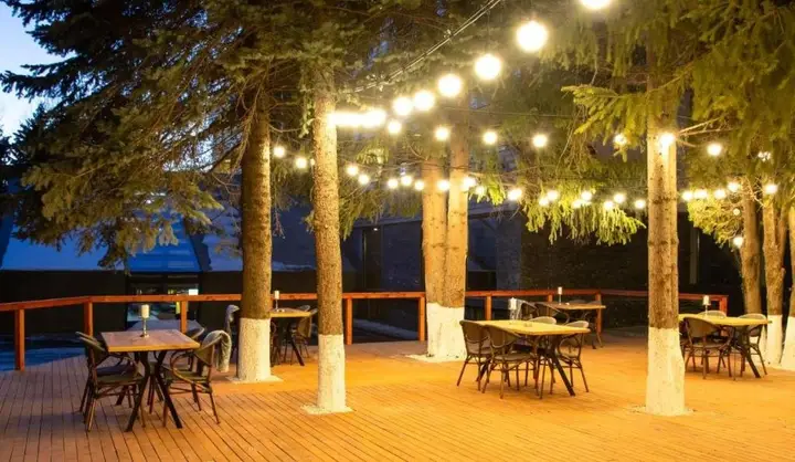 Бакуриани: Bakuriani Inn Appartment N335