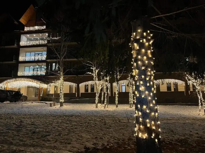 Бакуриани: Bakuriani Resort ap 308
