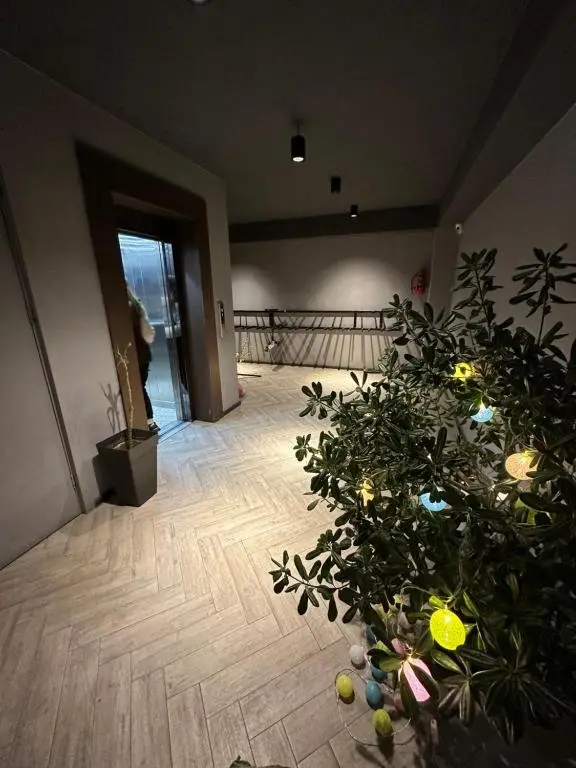 Бакуриани: Apartment Bakuriani Plaza 512