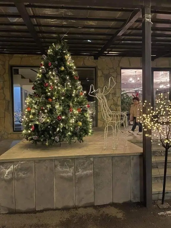 Бакуриани: Bakuriani Plaza B416