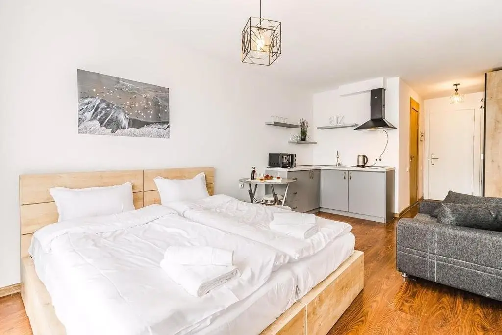 Гудаури: Redco Goodaura Apartment 117