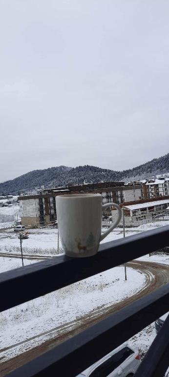 Бакуриани: Hotel Mgzavrebi 5