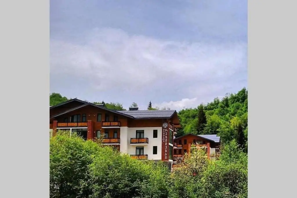Бакуриани: Didveli Residence D19