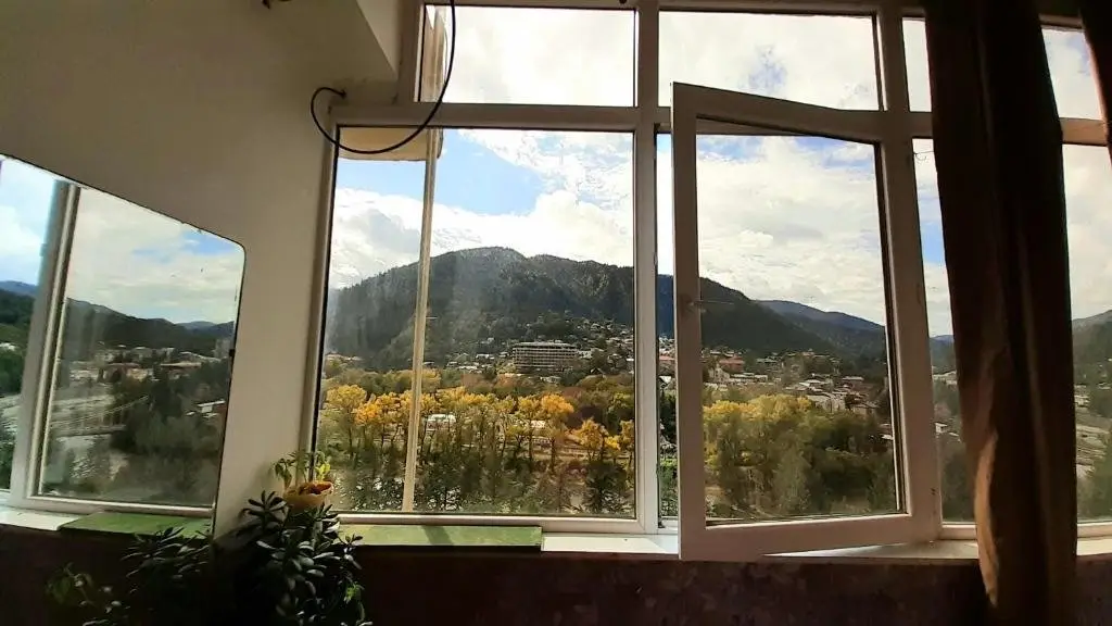 Боржоми: Borjomi,Rustaveli Street 107, 7 Floor