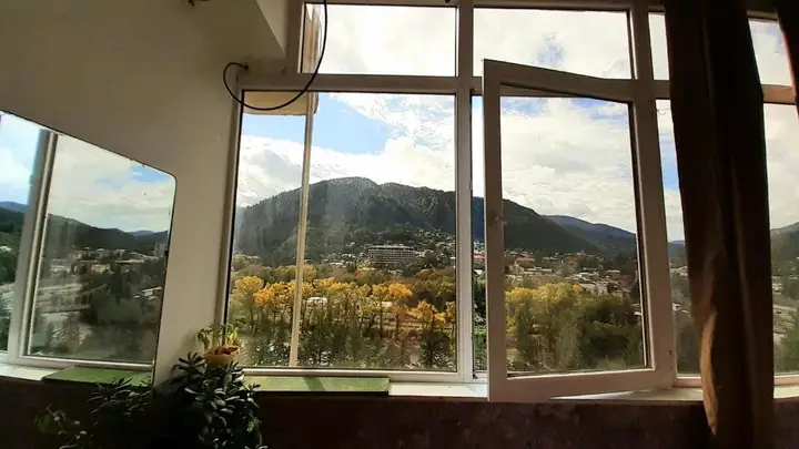 Боржоми: Borjomi,Rustaveli Street 107, 7 Floor