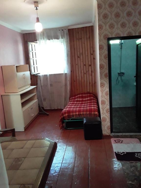 Боржоми: Apartment Roman