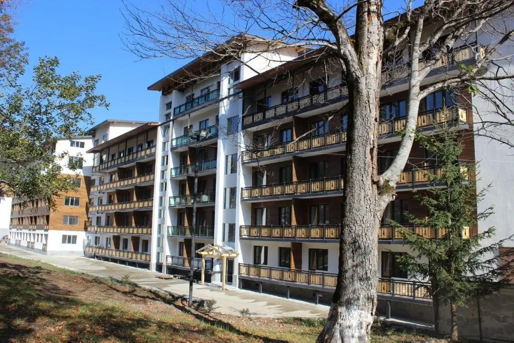Bakuriani Didveli Residence Block E Apartment 141 — фото 1