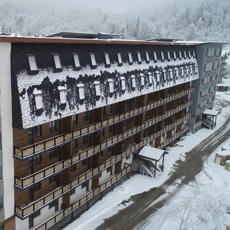 Бакуриани: Bakuriani Didveli Residence Block E Apartment 141
