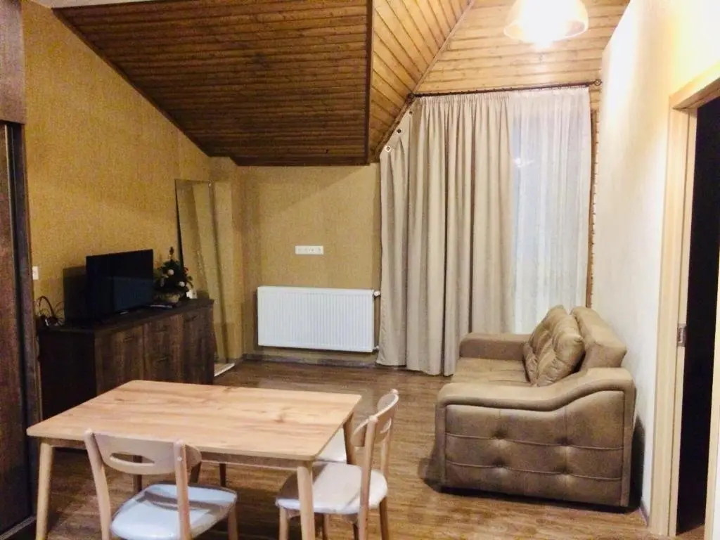 Бакуриани: Bakuriani didveli residence apartment
