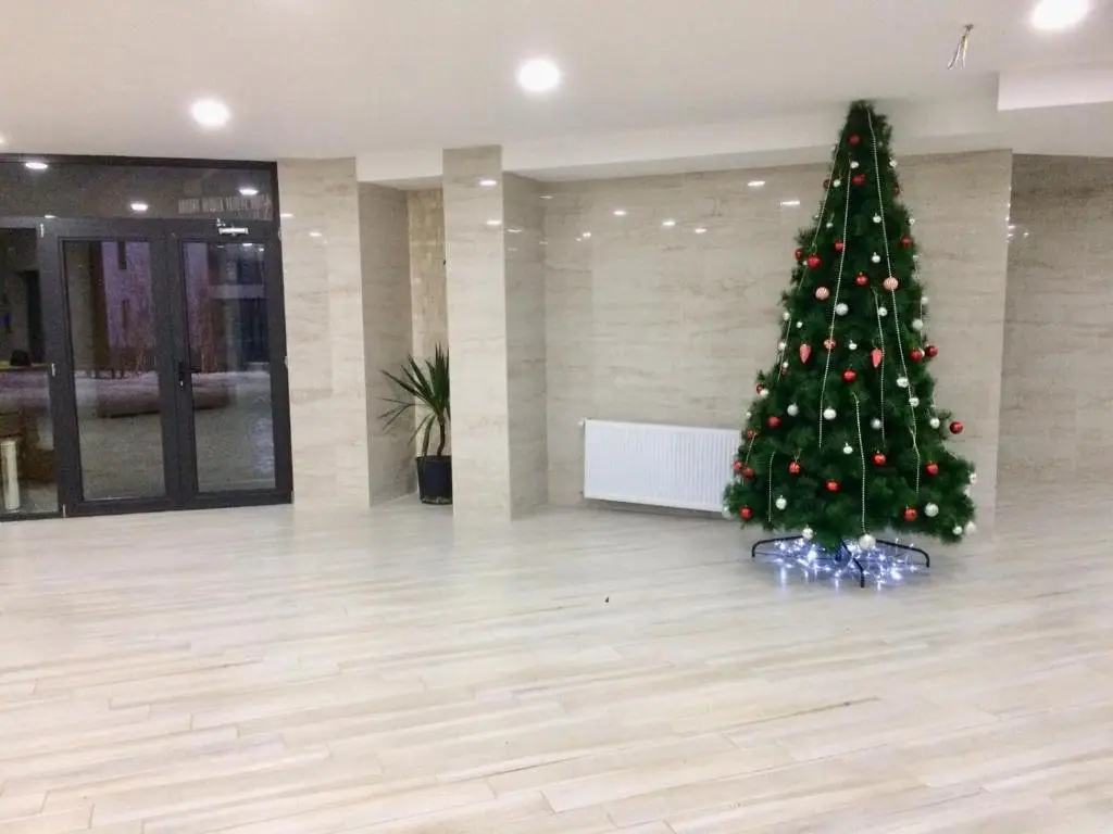 Бакуриани: Bakuriani didveli residence apartment