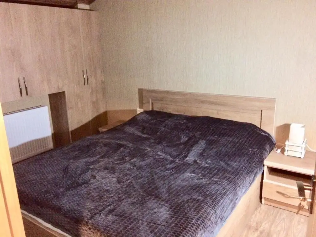 Бакуриани: Bakuriani didveli residence apartment
