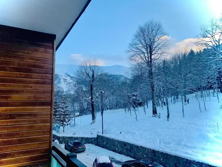 Бакуриани: Cozy Place at Didveli Residence