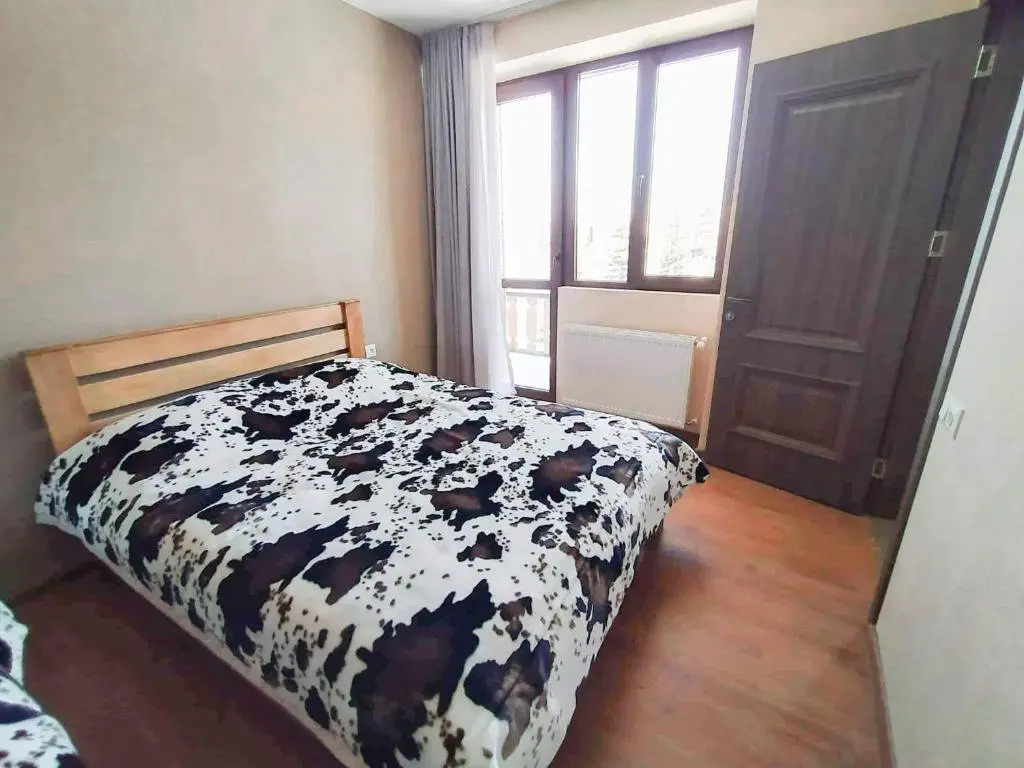 Бакуриани: Didveli Residense E36