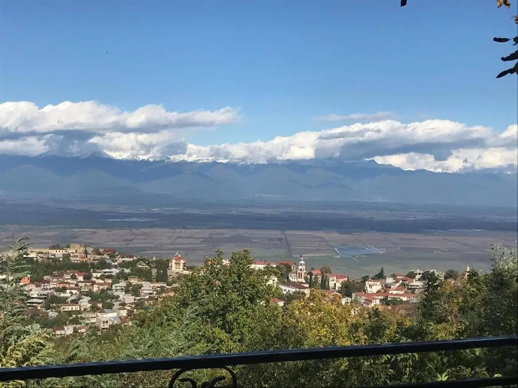 Сигнахи: Family Hotel in Nukriani , 2km From Sighnaghi