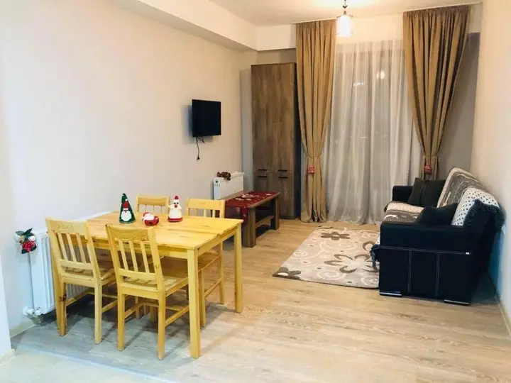 Бакуриани: Bakuriani Plaza 503 B