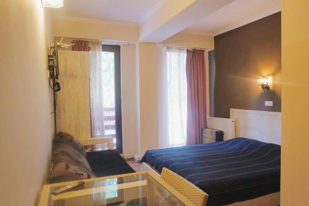 Бакуриани: Hotel Mgzavrebi 6