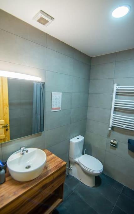 Бакуриани: Cozy Studio In Bakuriani / Near Ski Area Didveli