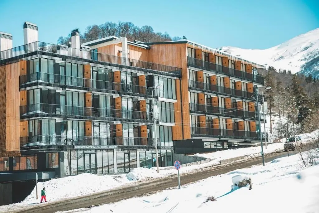 Бакуриани: Cozy Studio In Bakuriani / Near Ski Area Didveli