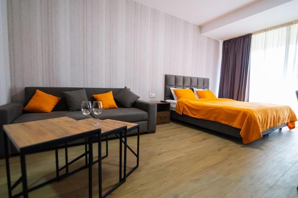 Бакуриани: Cozy Studio In Bakuriani / Near Ski Area Didveli
