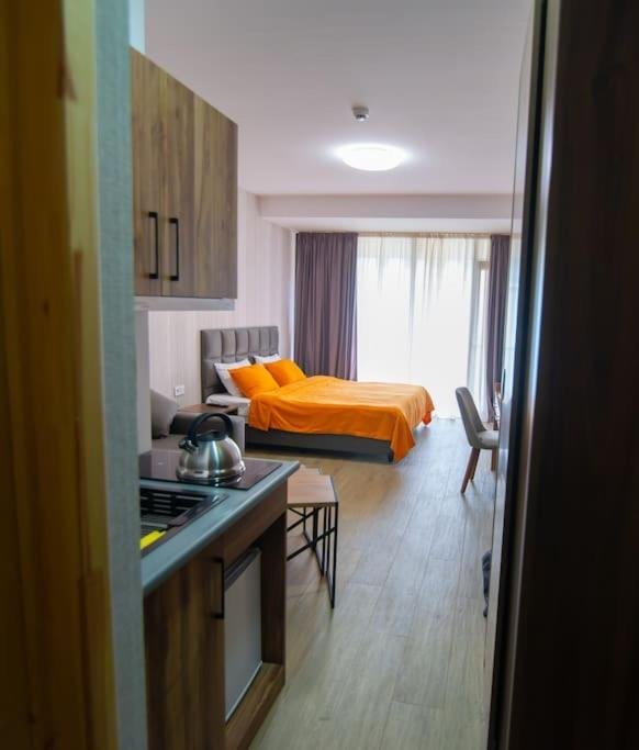 Бакуриани: Cozy Studio In Bakuriani / Near Ski Area Didveli