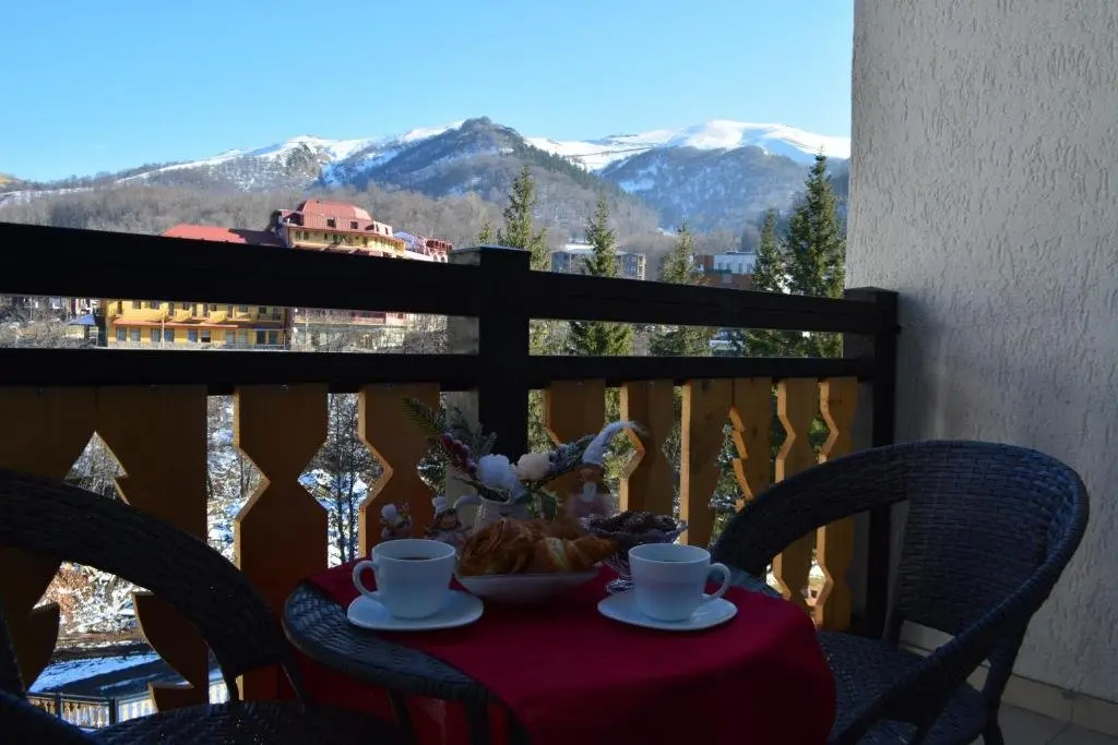Бакуриани: Didveli Residence Apartment H-51