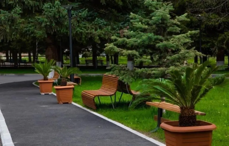 Бакуриани: Bakuriani Inn apartment 226