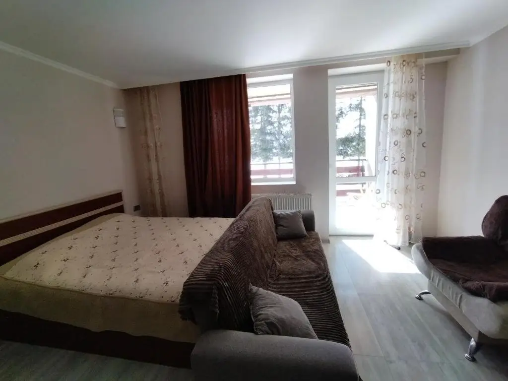 Бакуриани: Bakuriani City Apartment 8