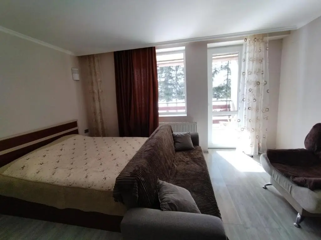 Бакуриани: Bakuriani City Apartment 8