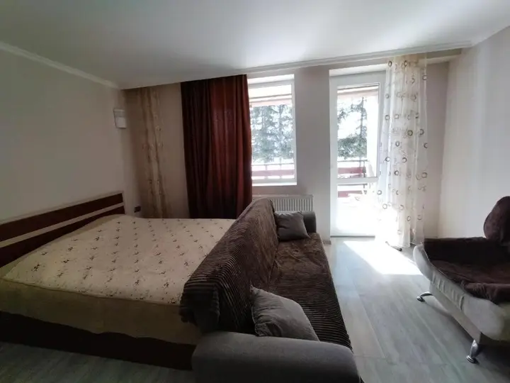 Бакуриани: Bakuriani City Apartment 8