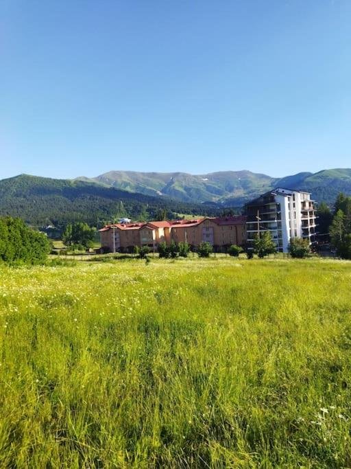 Бакуриани: Bakuriani City Apartment 8