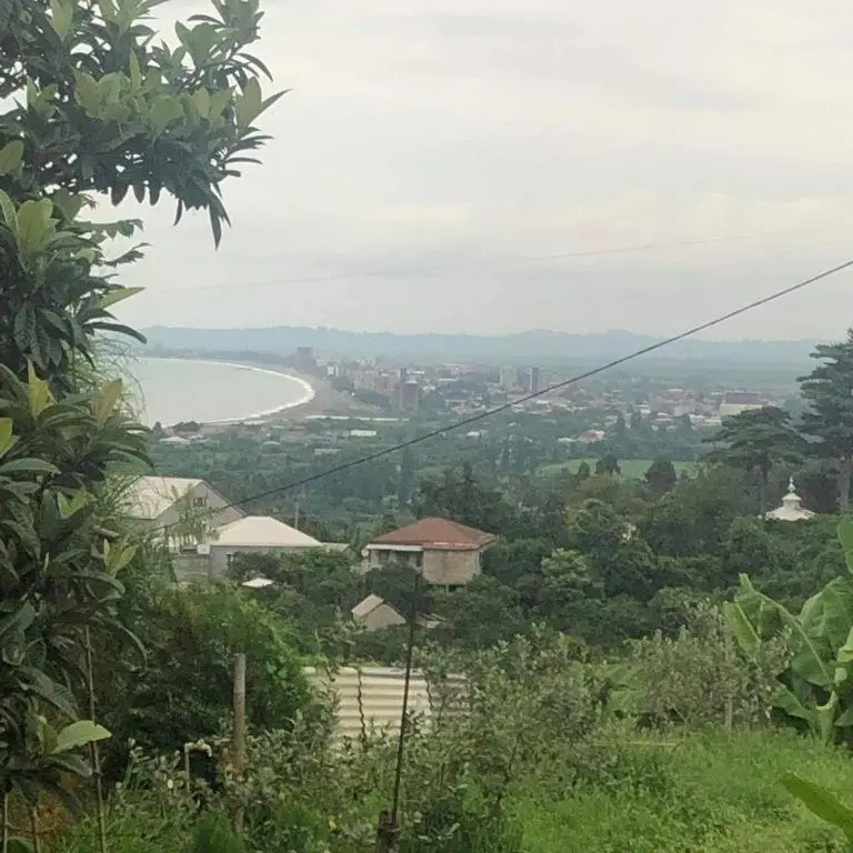 Цихисдзири: Vila Guta