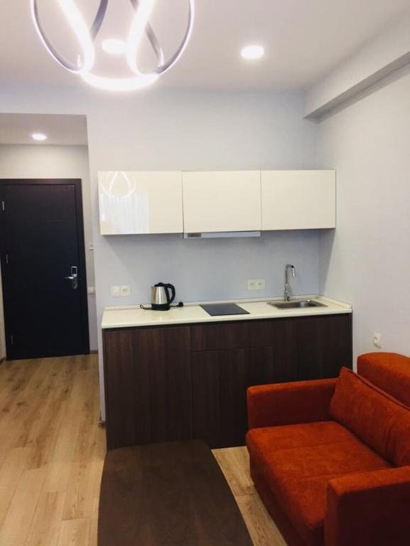 Бакуриани: Aparthotel Bakuriani Crystal resort N536