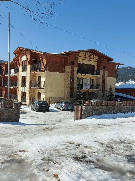 Бакуриани: Hotel Horizont Apartments Bakuriani 35m2