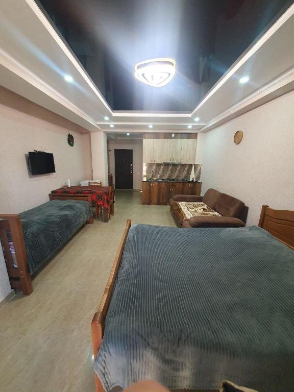 Бакуриани: Hotel Horizont Apartments Bakuriani 35m2