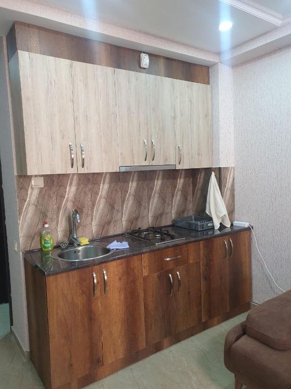 Бакуриани: Hotel Horizont Apartments Bakuriani 35m2