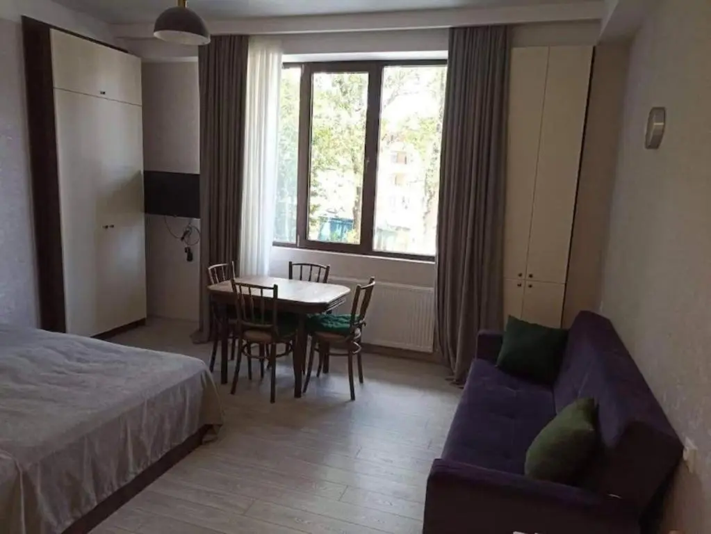 Бакуриани: Didveli Residence F4 Apartment