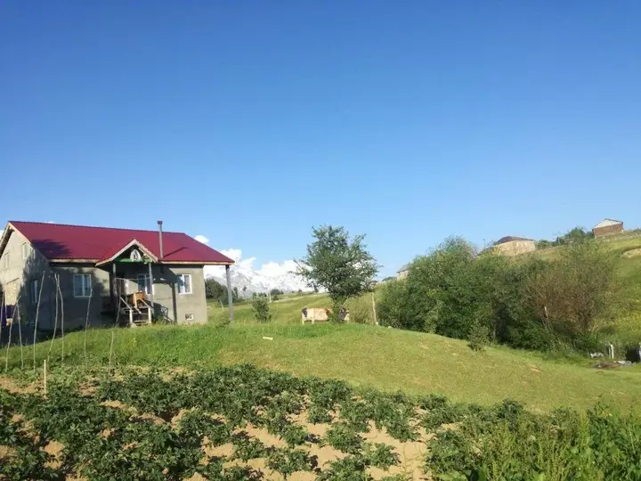 Местиа: Lia's Guest house Tsvirmi